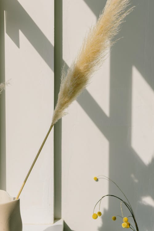 Ilmainen kuvapankkikuva tunnisteilla koristelu, pampas ruoho, pystysuuntainen laukaus