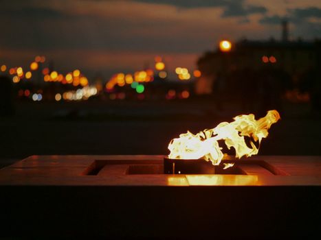 Close-up of aFire