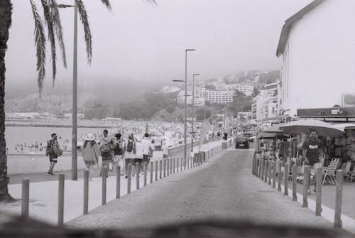 Black and White Photo of People Walking Near a Beach