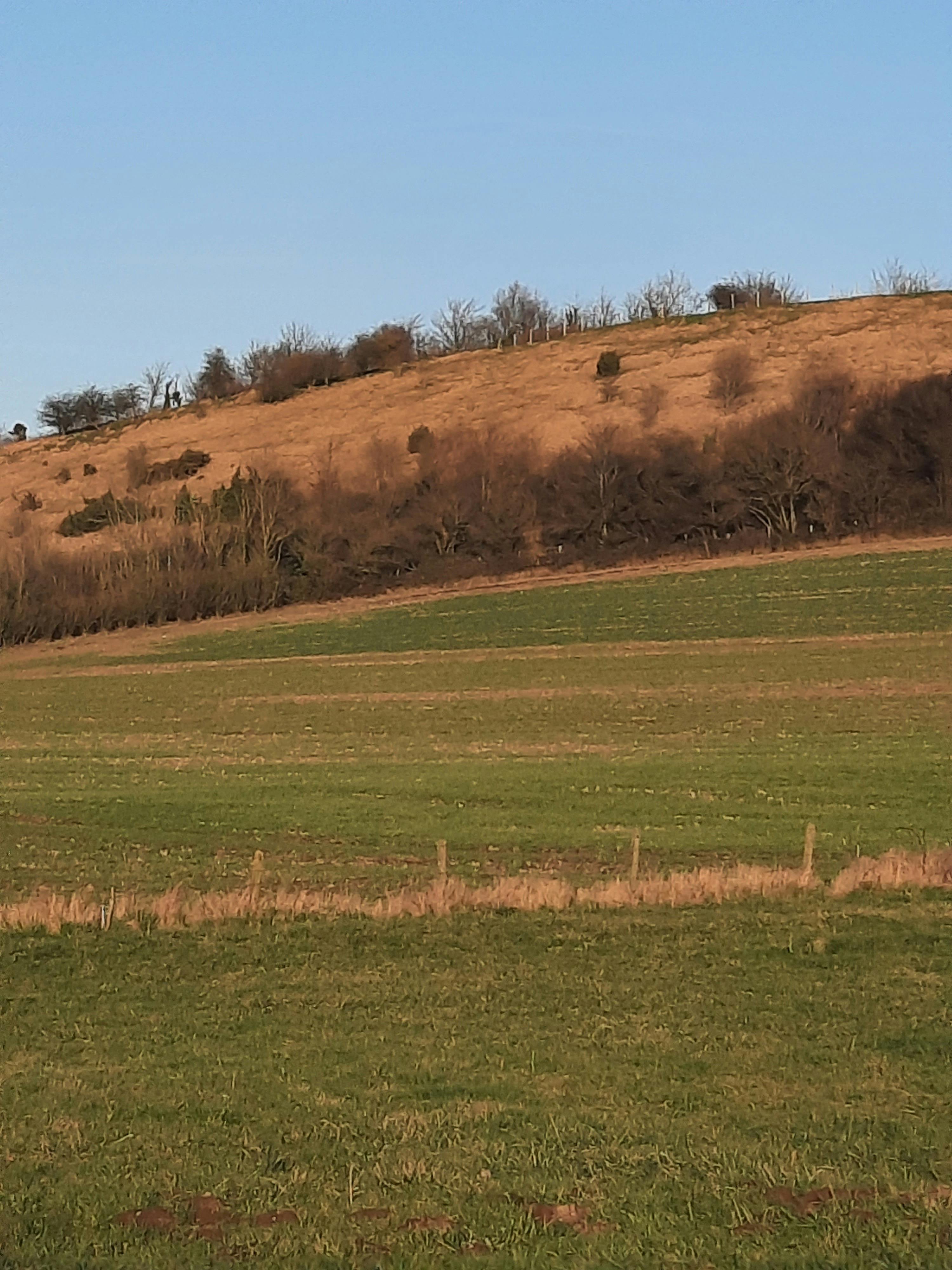 Serge Dufour Fotografie