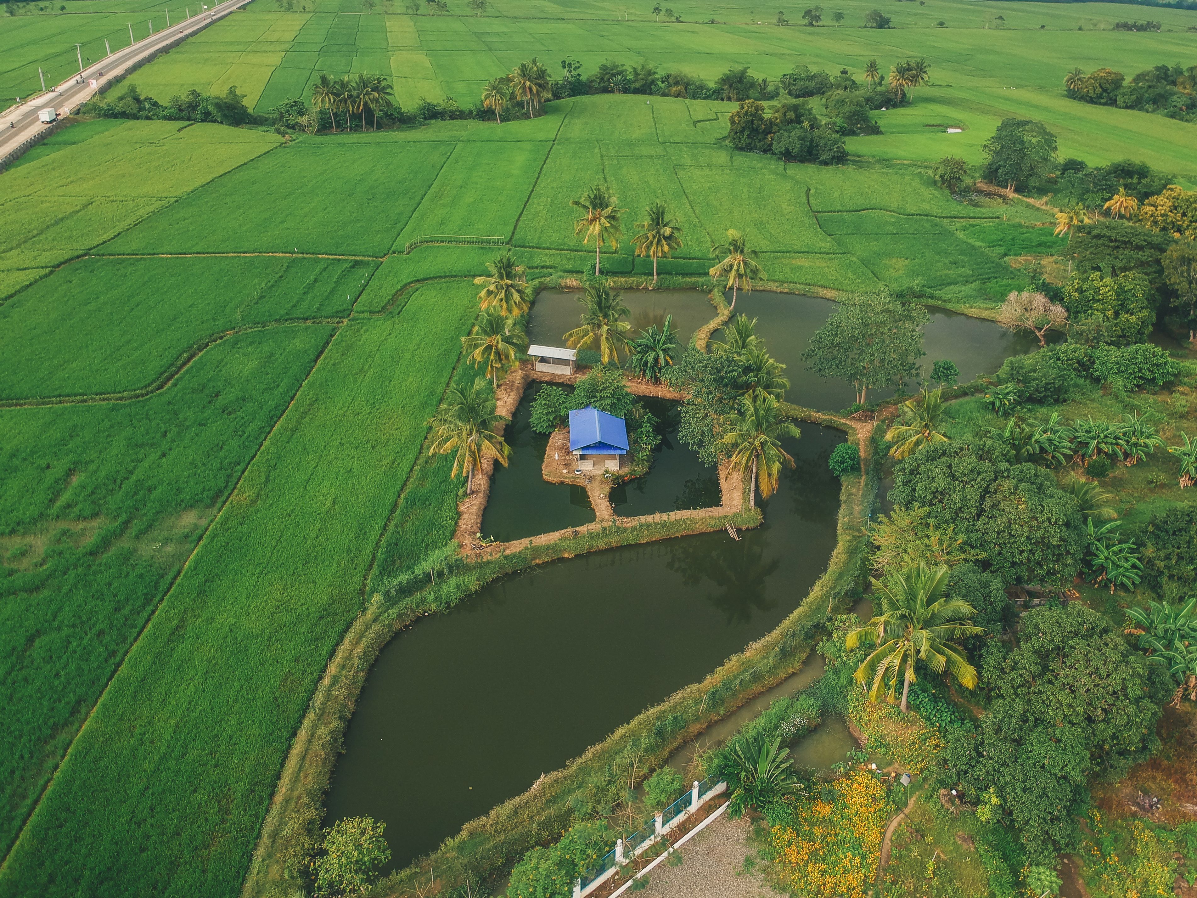 Kuttanad