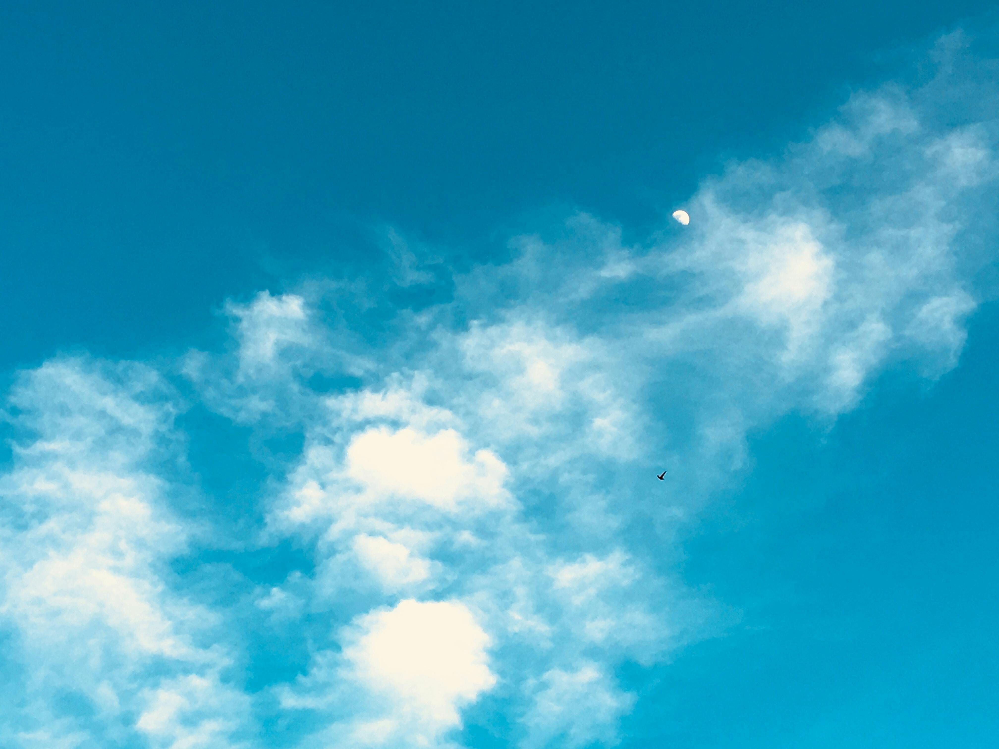 Free stock photo of blue sky, clouds, moon
