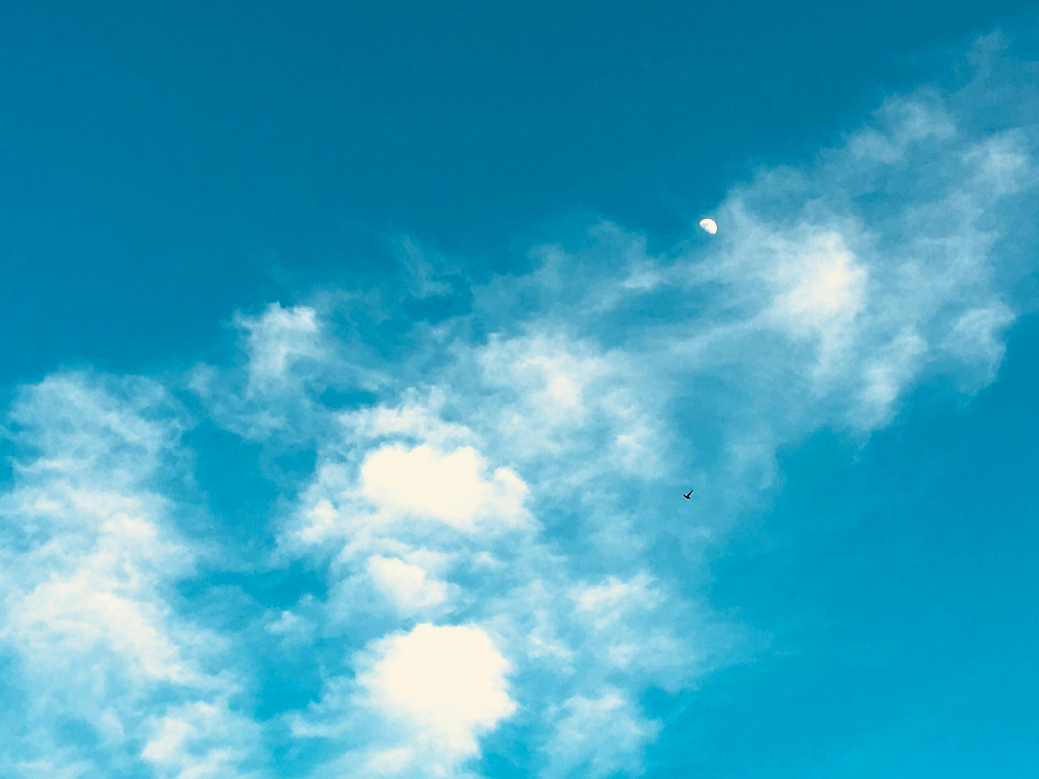 月 空 雲の無料の写真素材