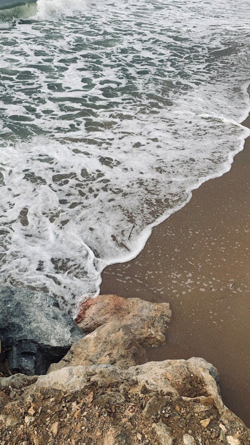 大浪, 招手, 海 的 免費圖庫相片