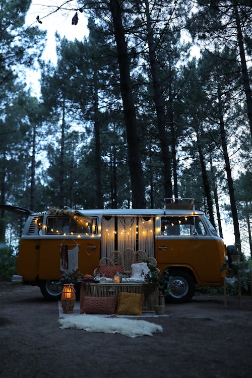 A Campervan in the Middle of a Forest