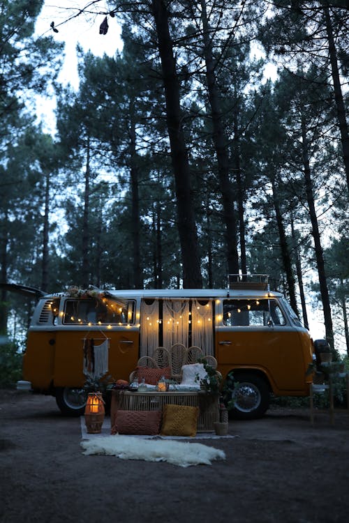 Foto d'estoc gratuïta de a l'aire lliure, arbres alts, autocaravana