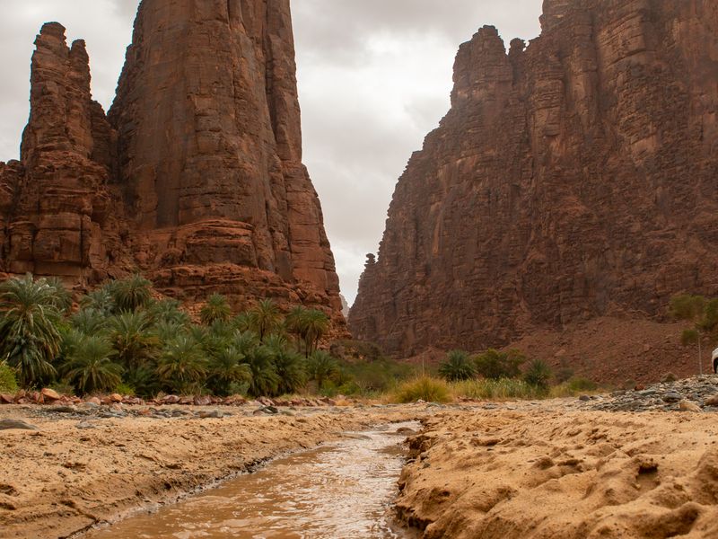 Stream winding between tall sandstone cliffs with greenery in Wadi Disah after rain