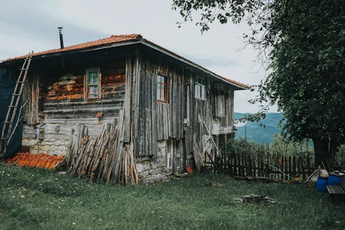 Free Tree Beside a Wooden House Stock Photo