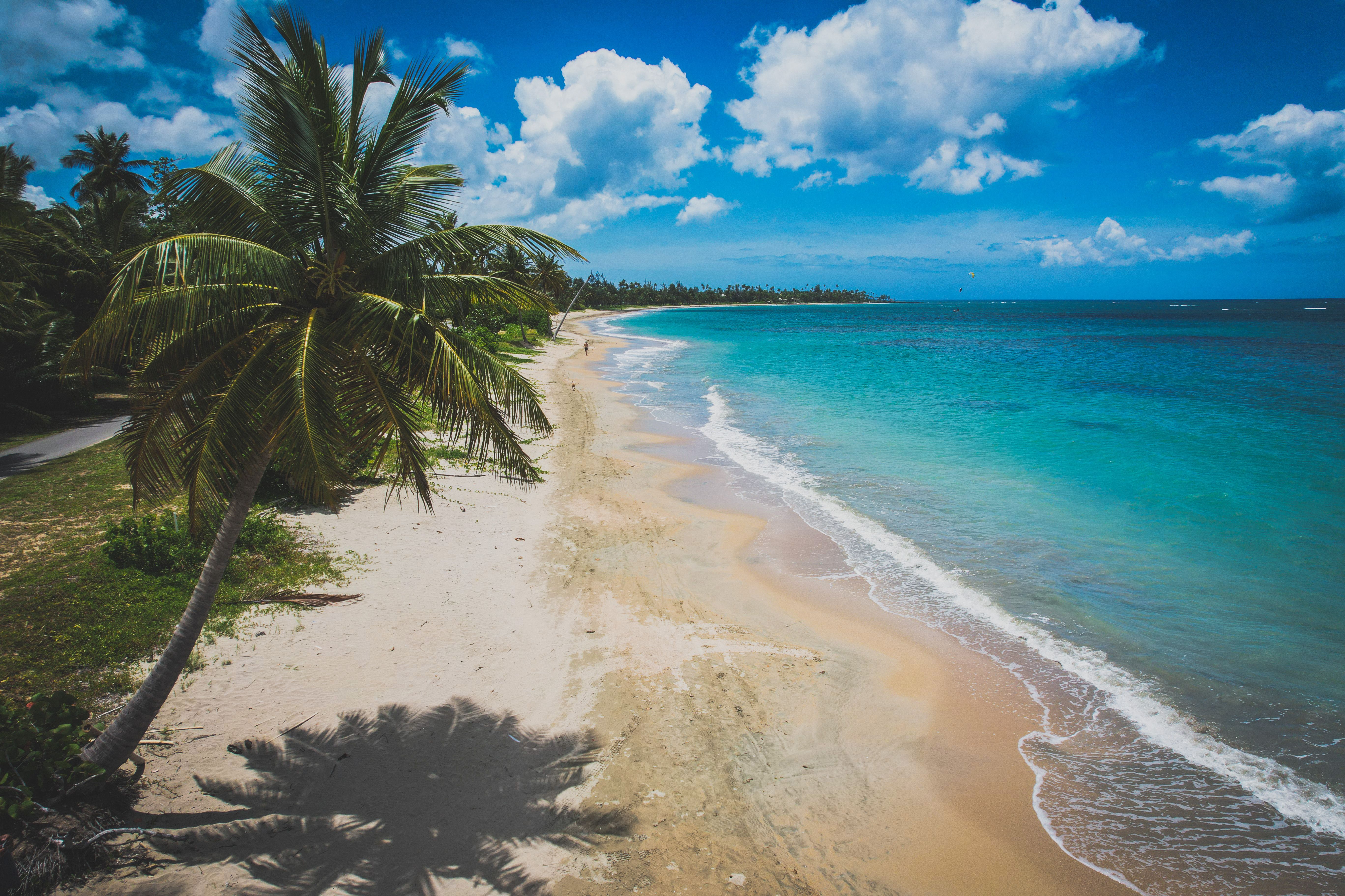 Travel Insurance for Guadeloupe — Guadeloupe travel guide photo