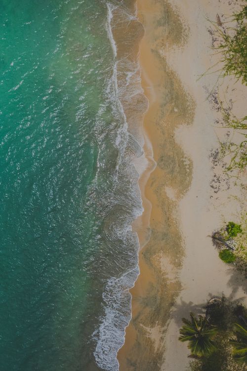 Free A picturesque aerial shot of a tropical beach with crystal-clear water and golden sands. Stock Photo