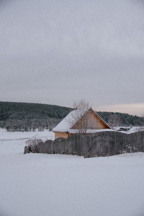 Wooden House in Snow