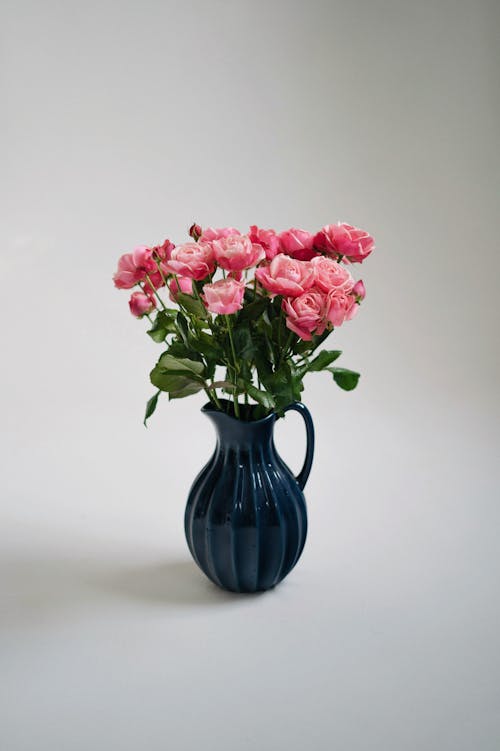 Fotobanka s bezplatnými fotkami na tému biele pozadie, džbán, kvety