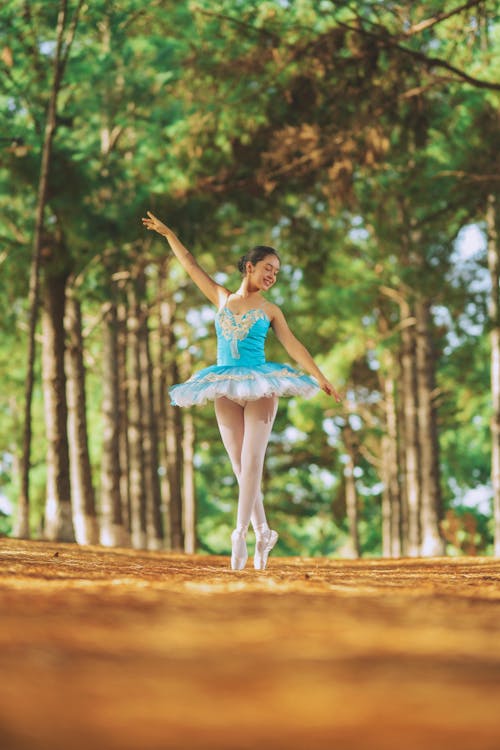 Free Gratis stockfoto met ballerina, ballet, balletdanser Stock Photo