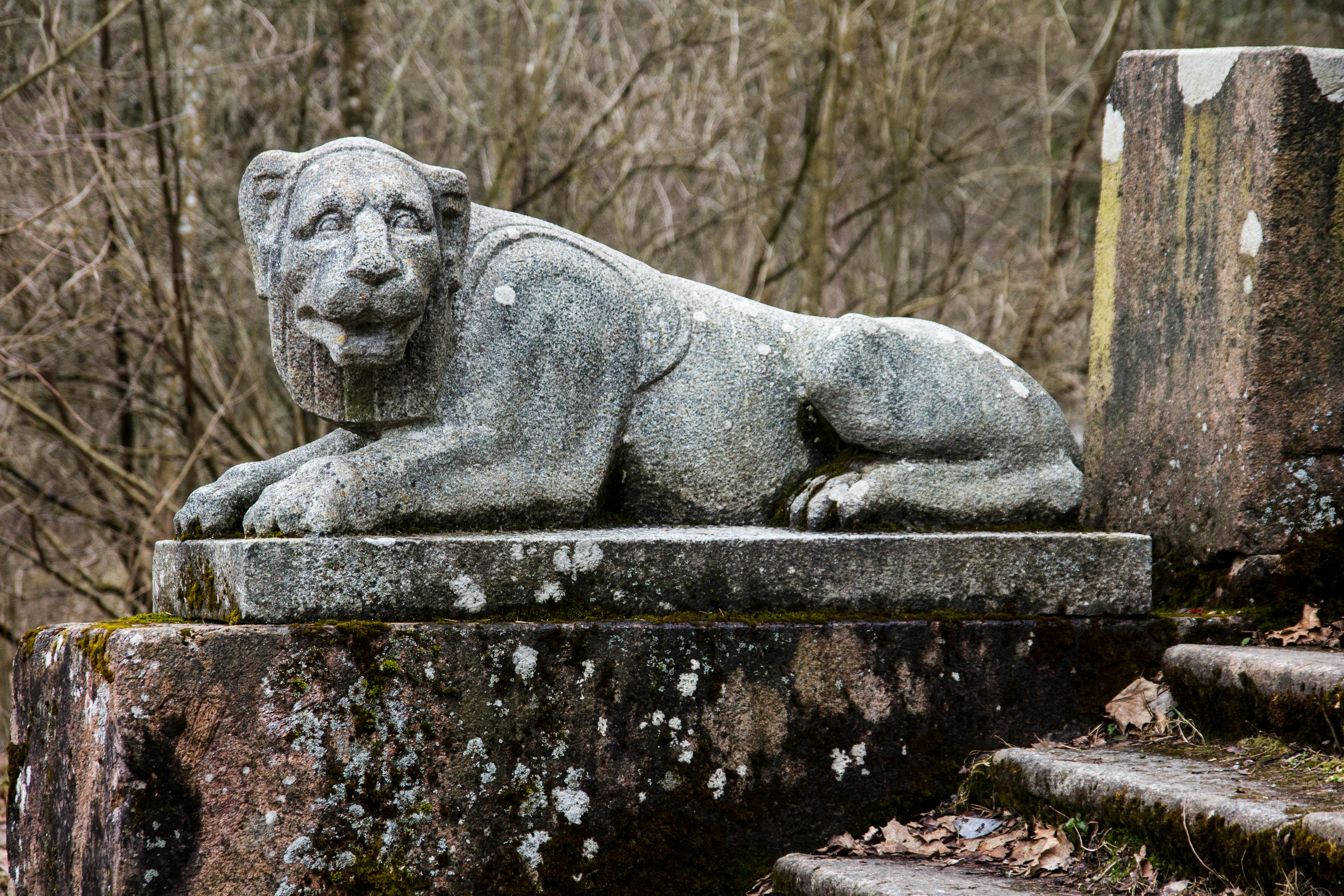 Which animal statue is not good for home?