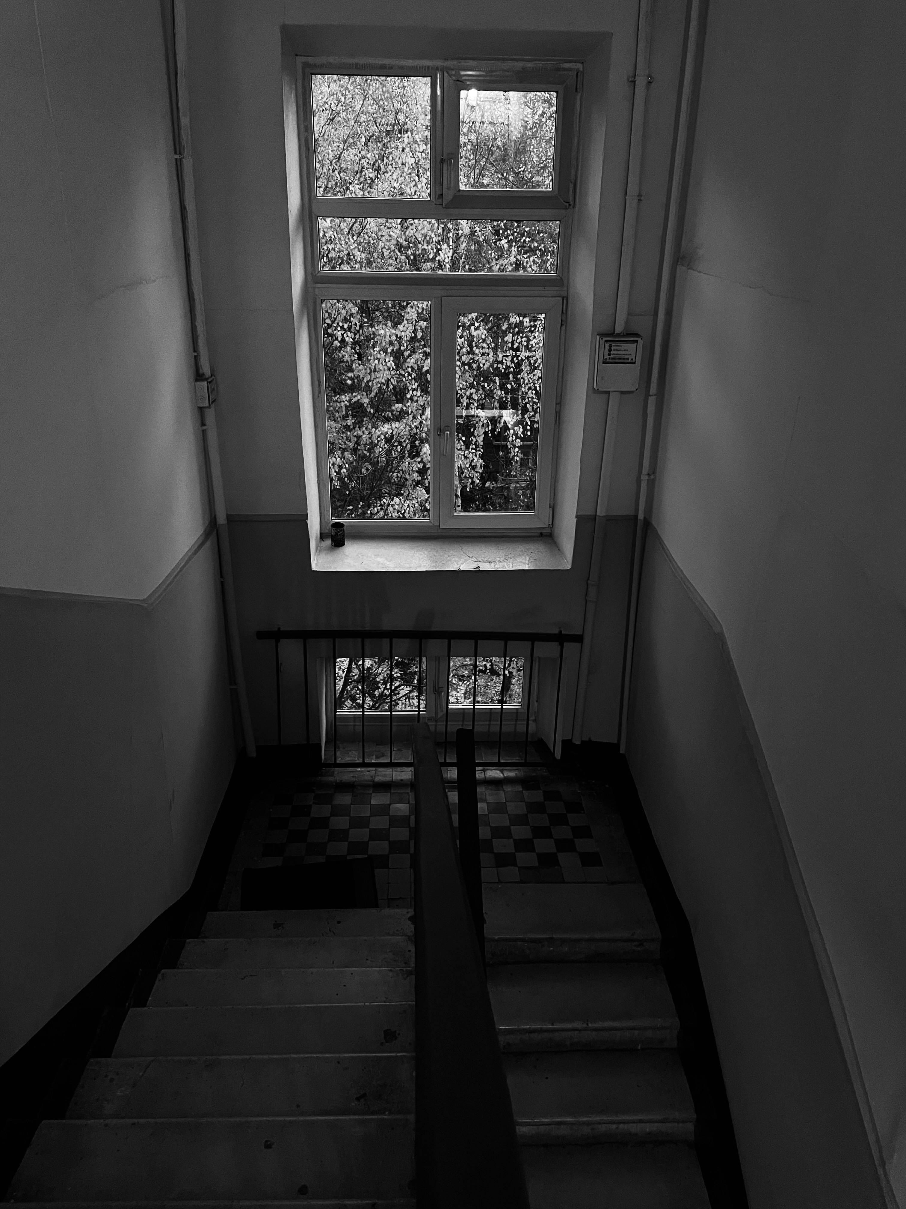 Gratuit Imagine de stoc gratuită din adâncime, alb-negru, ambianță capricioasă Fotografie de stoc