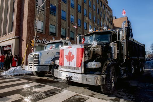 6 Ottawa Councillors Already Set to Win Re-Election, Unopposed