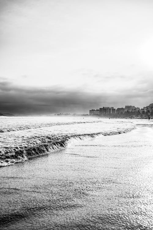 Kostnadsfri bild av hav svart och vitt, strandälskare