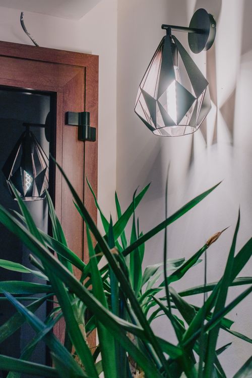 Free Stylish indoor plant complementing a geometric pendant wall lamp in a modern home setting. Stock Photo
