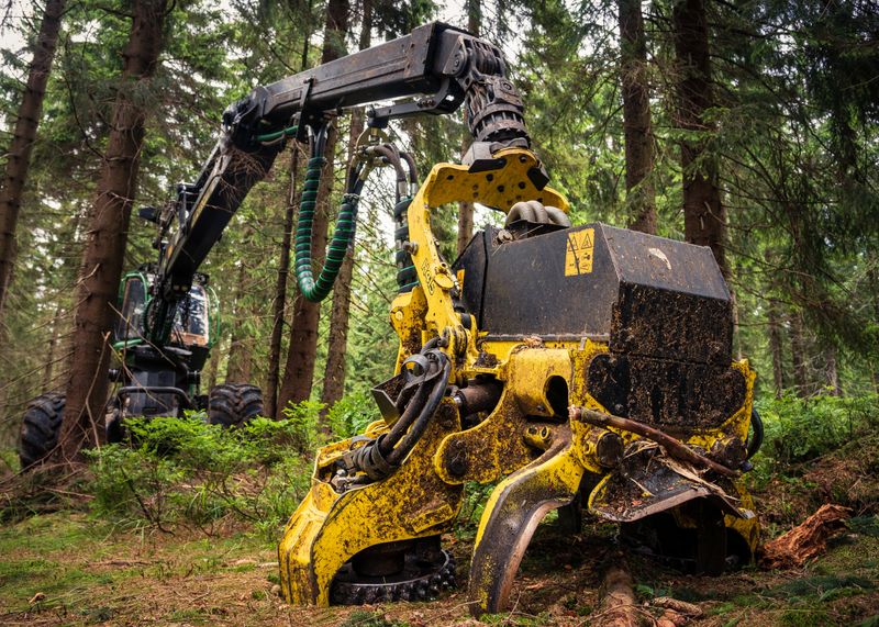 A powerful forest harvester operating amidst lush greenery