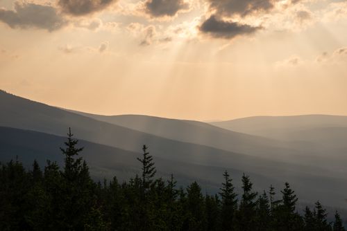 Free Scenic view of sunlight streaming over a mountain range and tree tops during sunset. Stock Photo