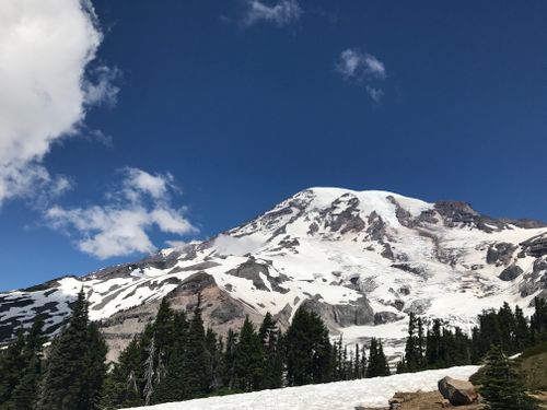 Free Scenic view of Mount Rainier with snow and pine trees under clear blue skies in Washington, USA. Stock Photo