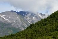 The contrast between a hill with green pine forest and another with bare lifeless rocks
