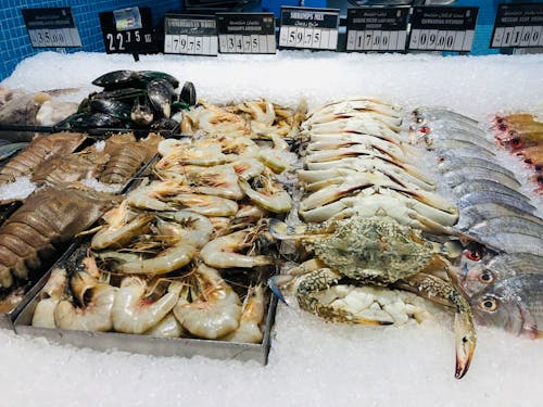 Free Close-up of Seafood in the Market Stock Photo