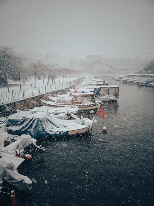 감기, 강, 겨울의 무료 스톡 사진
