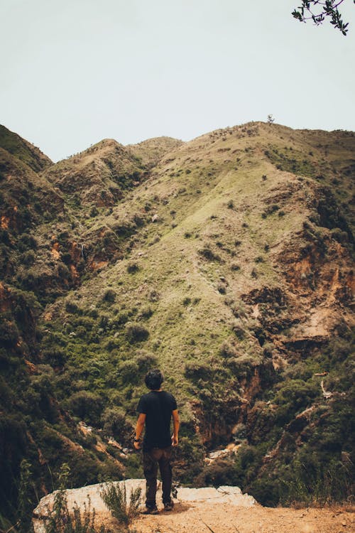 Free Hiker Looking at the Mountains Stock Photo
