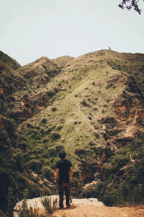 Free A lone hiker gazes at a lush mountain vista, embracing the tranquility of nature. Stock Photo
