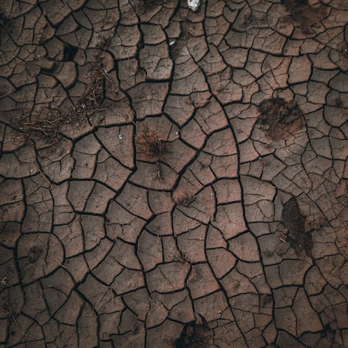 Cracks on Dried Ground Soil
