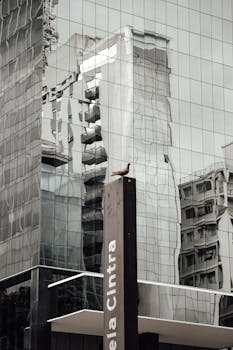 Glass skyscraper reflects surrounding cityscape with a lone bird perched on a sign.