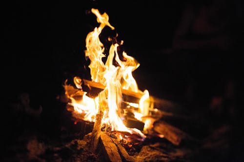 Kostenlos Kostenloses Stock Foto zu brennholz, feuer, flammen Stock-Foto