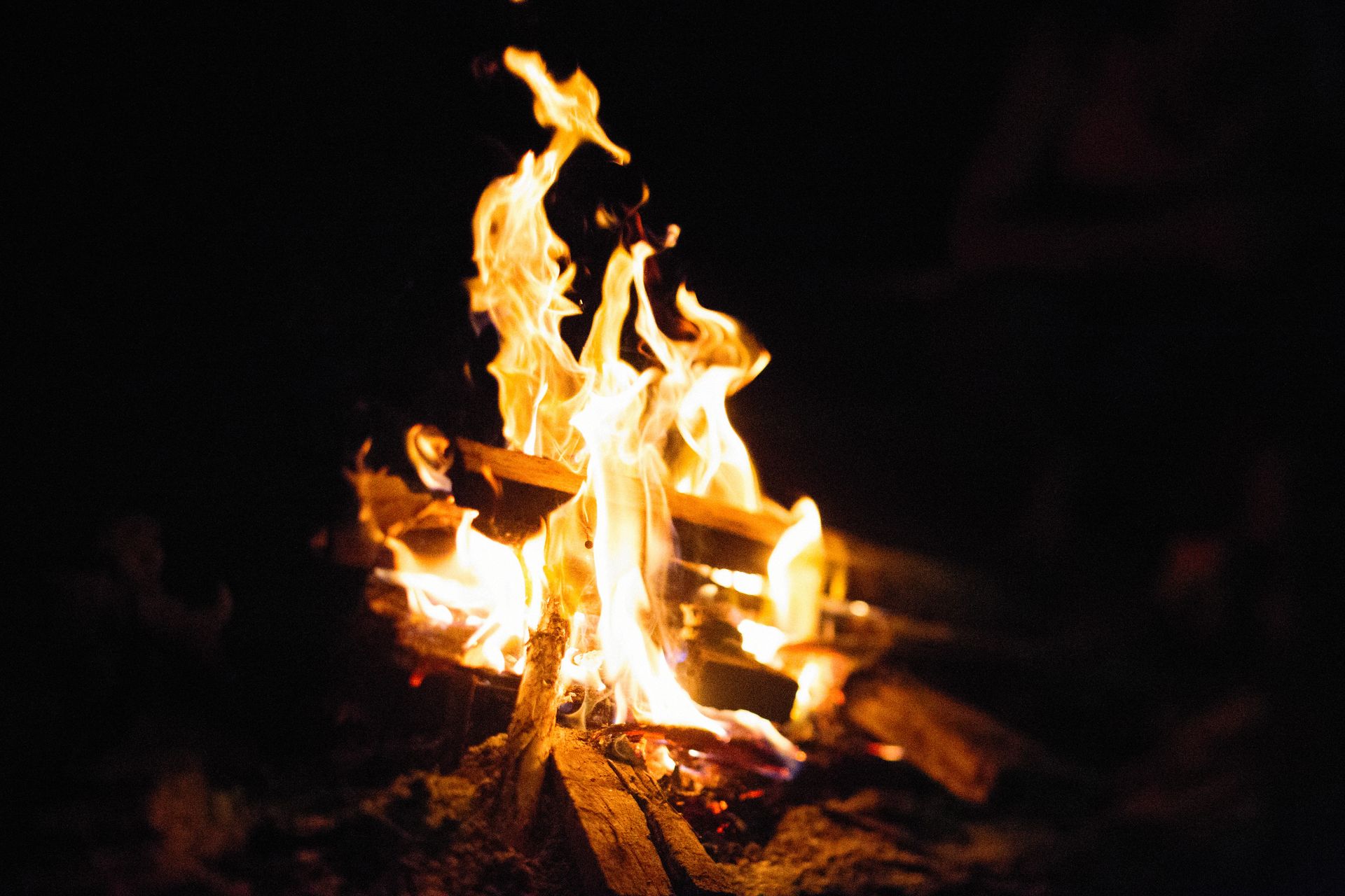 Vibrant campfire flames lighting up a dark outdoor evening, creating warmth and ambiance.