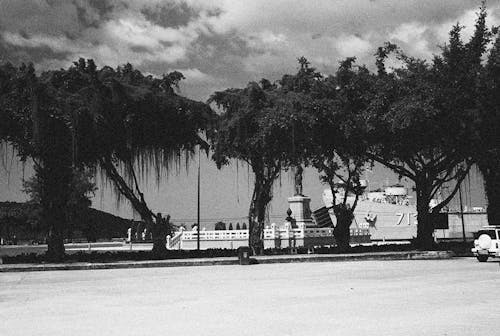 бесплатная Бесплатное стоковое фото с деревья, мостовая, оттенки серого Стоковое фото