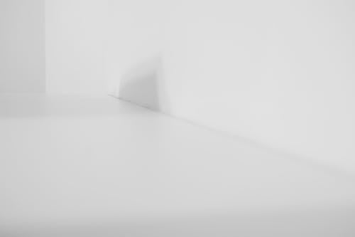 Shadow in a White Room 