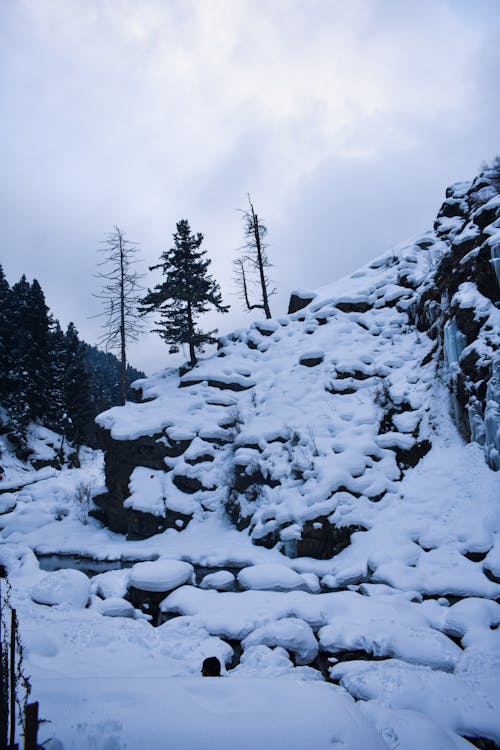 A Creek in the Snow Covered Mountain