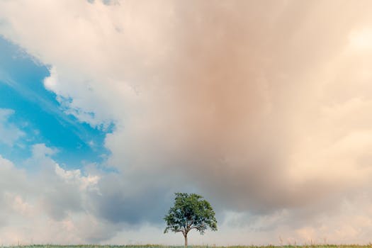 A striking image of a solitary tree beneath an expansive cloudy sky in Tetax Sesecapan, Mexico.