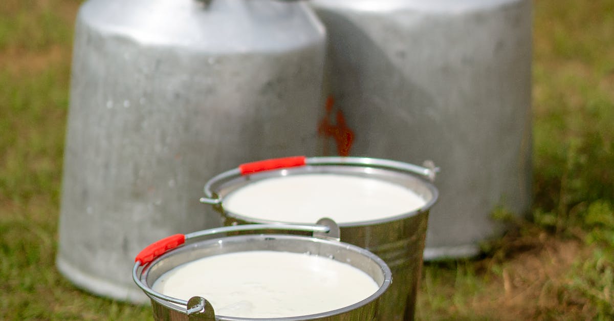 Can milk help you gain muscle