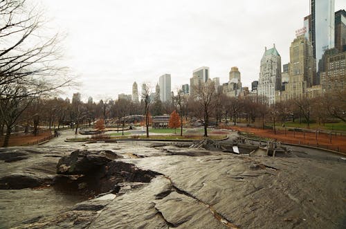 Immagine gratuita di 35mm, analogico, central park