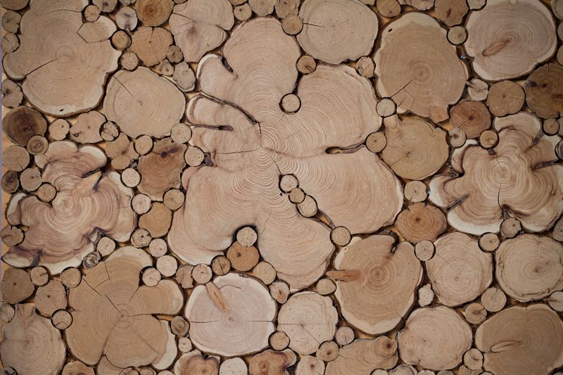 Curated sustainable stone, wood, and textile samples for a Studio Miel interior in Miami, FL