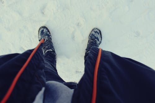 雪 的 免費圖庫相片