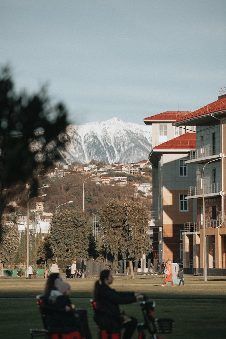 Lawn In Town And Mountain Behind