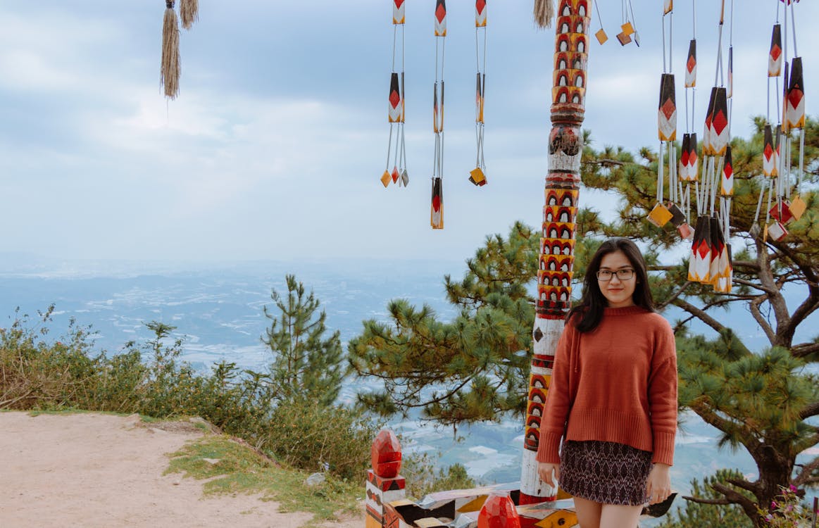 Foto d'estoc gratuïta de a l'aire lliure, arbre, art