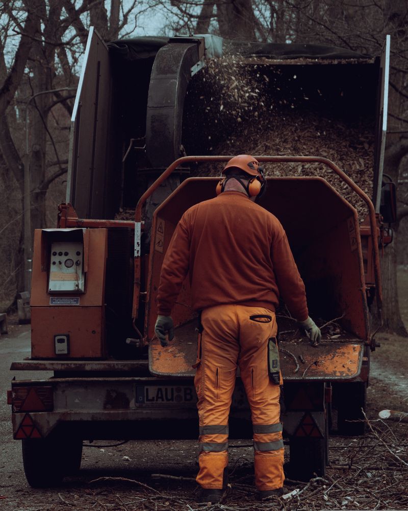 Worker feeding brush into a wood chipper while clearing land