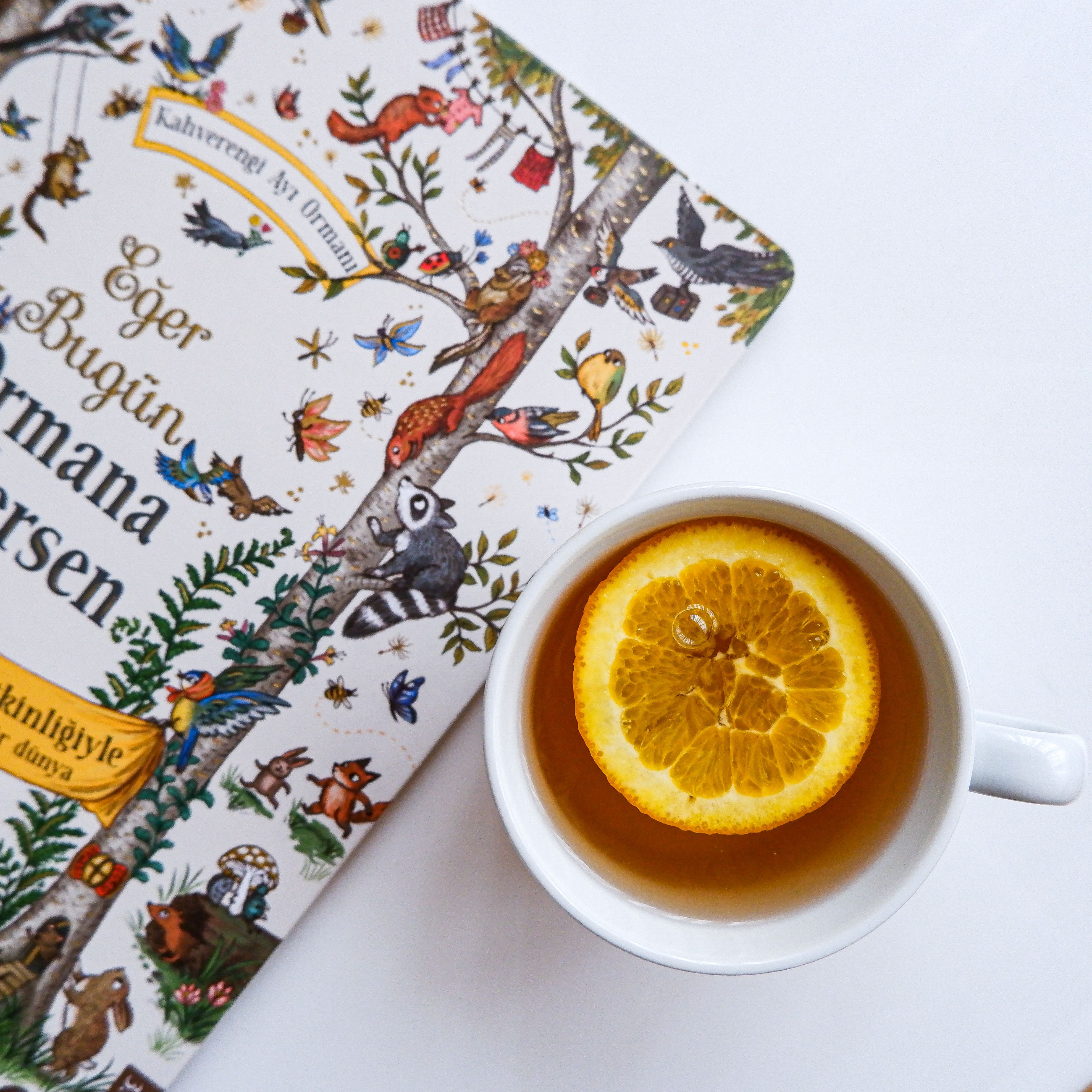 Flatlay Photography of Orange Juice in a Cup near a Book