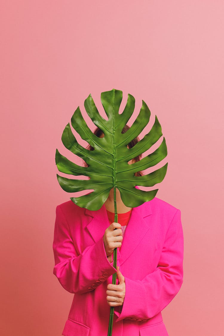 Person In Pink Coat Covering Her Face With Swiss Cheese Plant Leaf