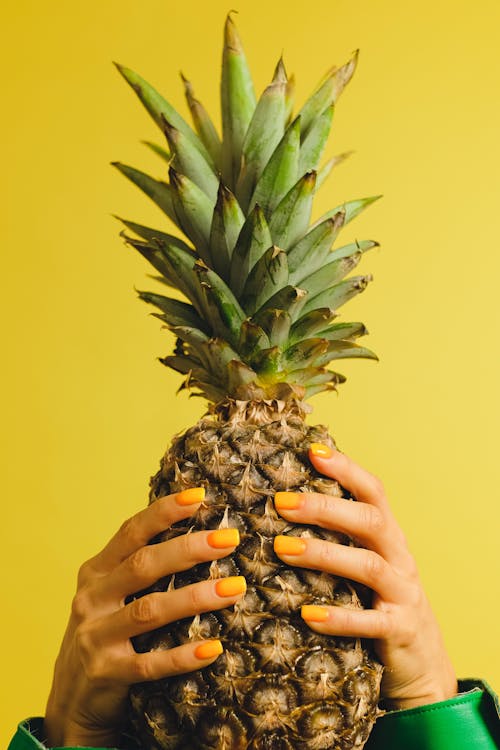 Fotobanka s bezplatnými fotkami na tému ananás, držanie, ovocie z trópov