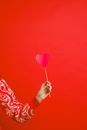 Person Holding Pink Heart Balloon