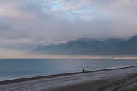 Person Walking on Beach with Dog